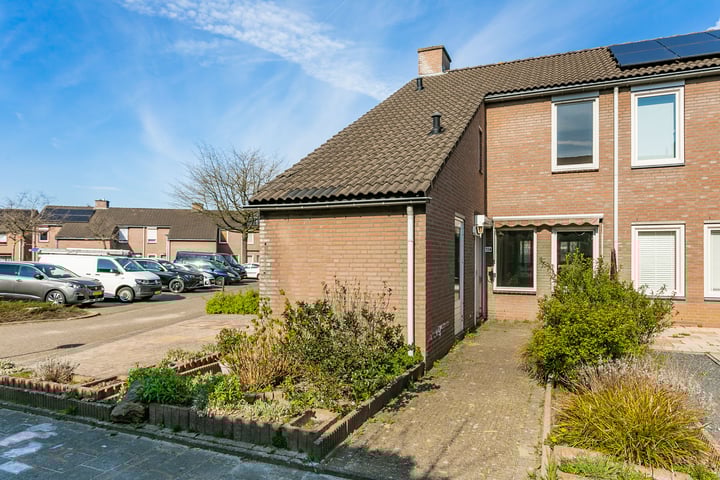 Fossielenerf 724 in Heerlen foto