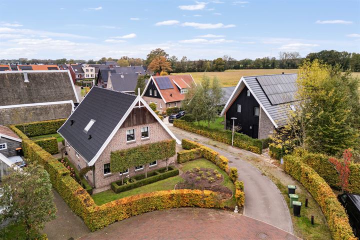 Framboos 3 in Hengelo foto