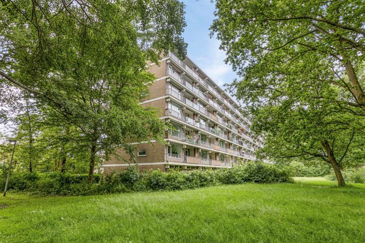 Frans Halslaan 49 in Oegstgeest foto