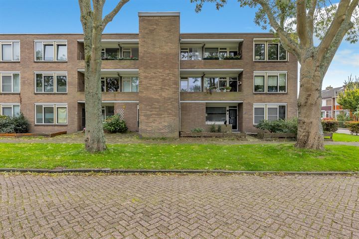 Frans Halsstraat 17B in Spijkenisse foto