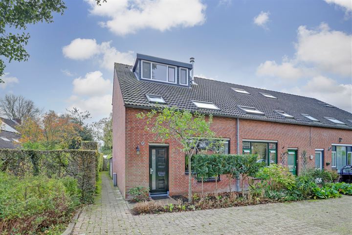 Fregatvogel 1 in Nieuwegein foto