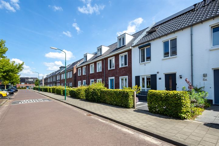 Frisodreef 7 in Langbroek foto