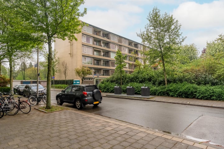 Fruinplantsoen 81 in Utrecht foto