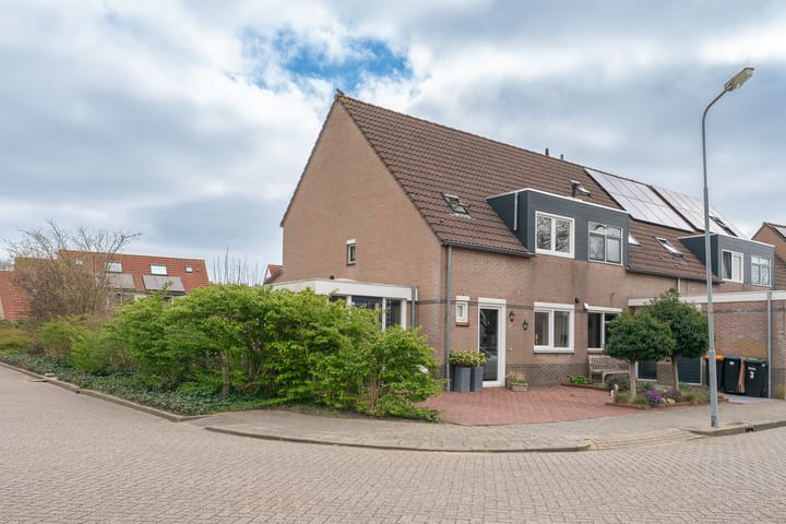 Galjoen 1 in De Rijp foto