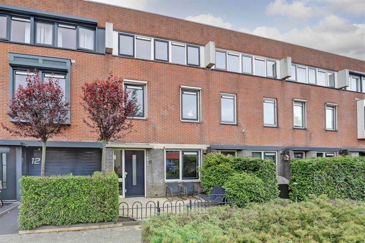 Galjoen 10 in Nijkerk foto
