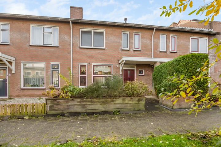 Galjoen 14 17 in Lelystad foto