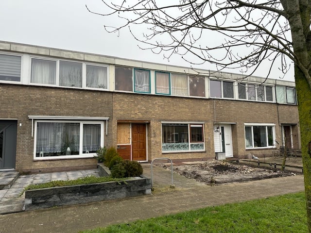 Galjoot 5 in Lemmer foto