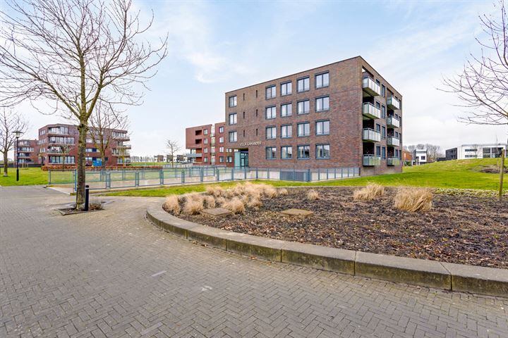 Gamander 10 in Heinkenszand foto