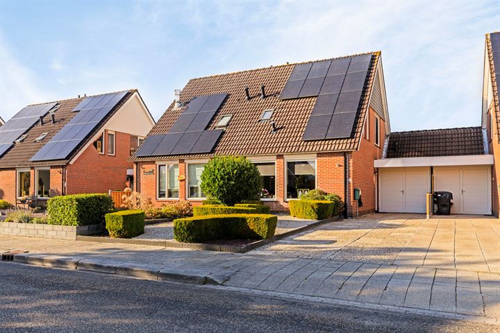 Ganzenerf 3 in Delfzijl foto