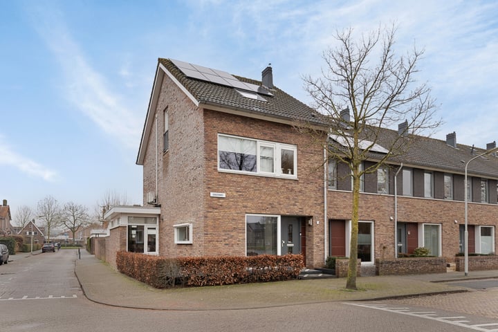 Ganzenwei 1 in Gorinchem foto