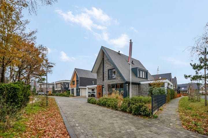 Gebroeders van Steenbergenplantsoen 21 in Ede
