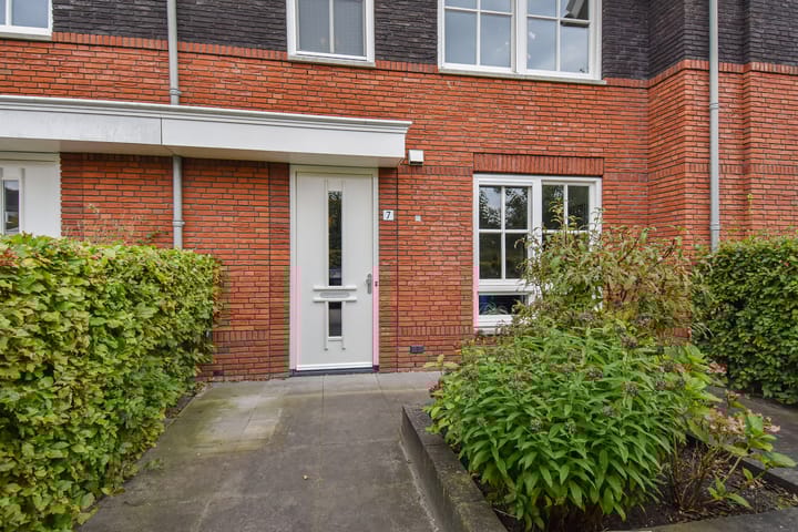 Gele Kwikstaartlande 7 in Pijnacker foto