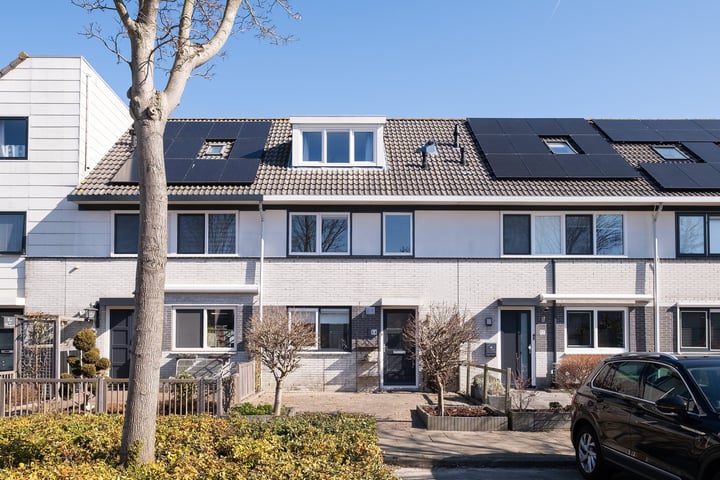 Gele Varaan 14 in Heerhugowaard foto