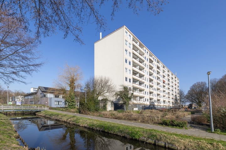 Gemeenschapspolderweg 217 in Weesp foto