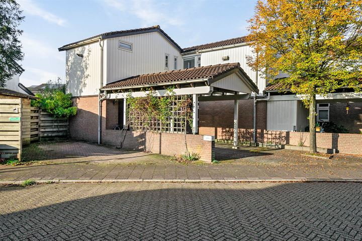 Gemini 201 in Soesterberg foto
