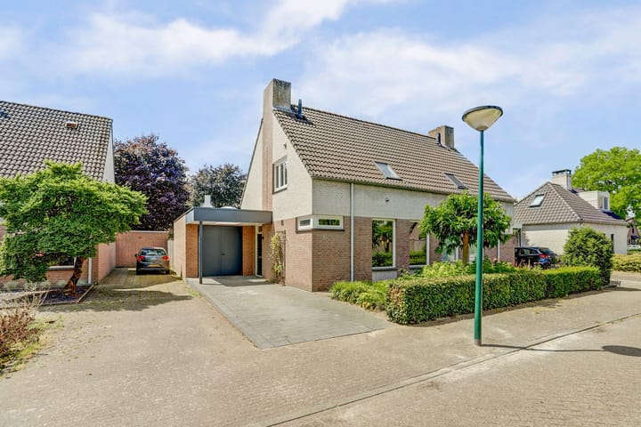 Gentiaan 6 in Luyksgestel foto