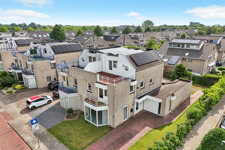 Gibbon 17 in Heerhugowaard foto
