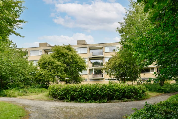 Gijsbrecht van IJselsteinstraat 219 in Amsterdam foto