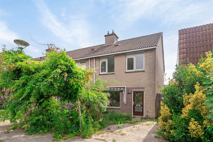 Gitaar 88 in Ewijk foto