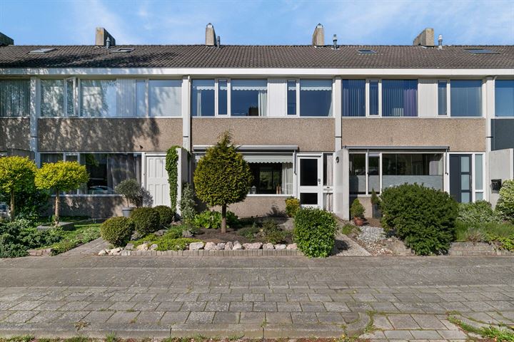 Gossepalen 13 in Sneek foto