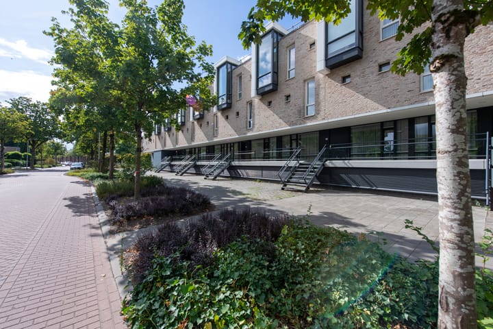 Gotenpark 195 in Tilburg foto