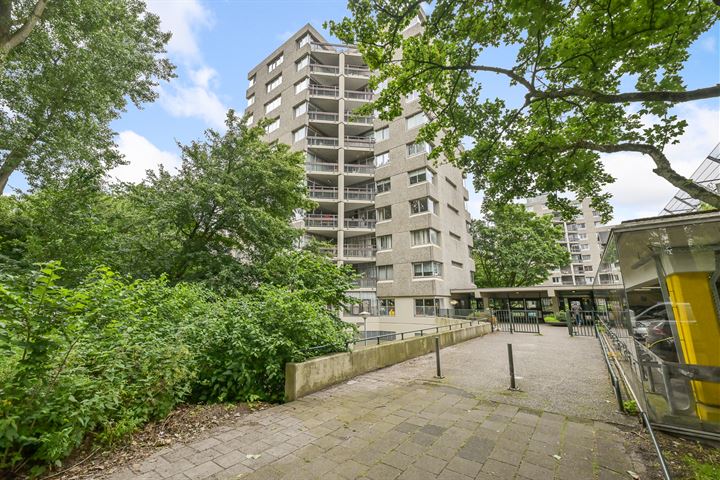 Gouden Leeuw 120 in Amsterdam foto