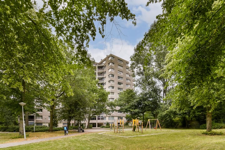 Gouden Leeuw 136 in Amsterdam foto