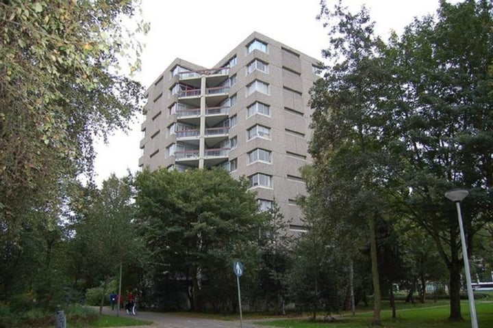 Gouden Leeuw 206 in Amsterdam foto