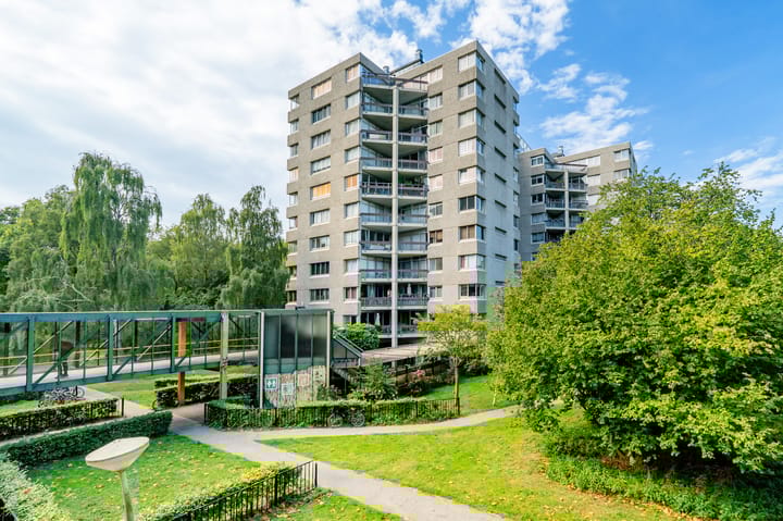 Gouden Leeuw 352 in Amsterdam