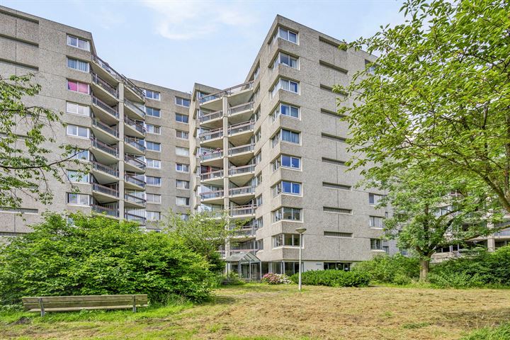 Gouden Leeuw 405 in Amsterdam foto