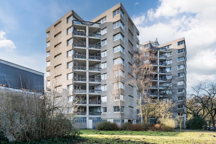 Gouden Leeuw 731 in Amsterdam foto