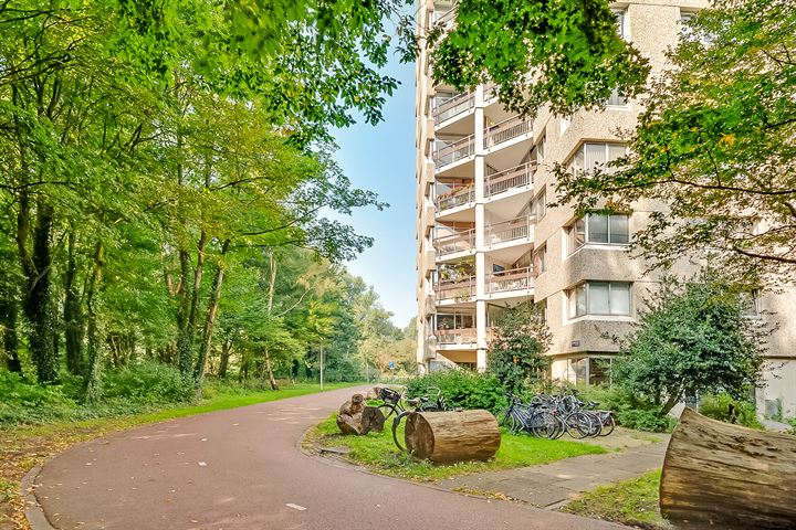 Gouden Leeuw 822 in Amsterdam foto