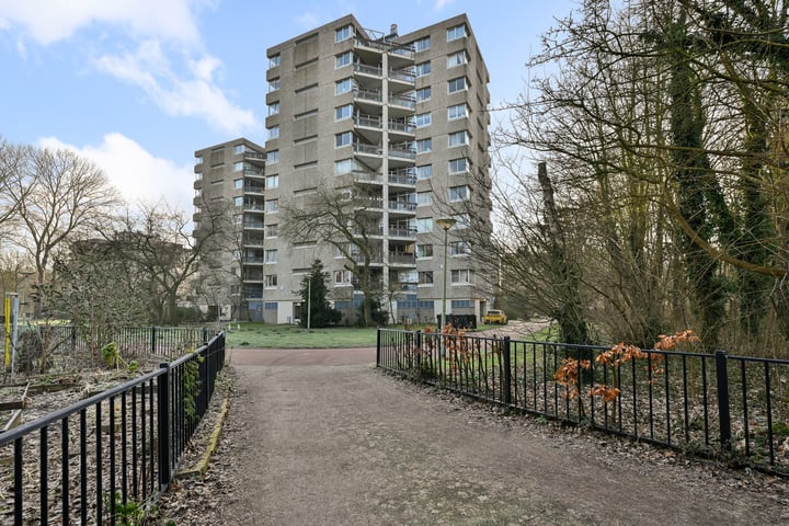 Gouden Leeuw 825 in Amsterdam foto