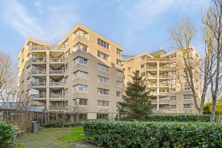 Gouden Leeuw 907 in Amsterdam foto