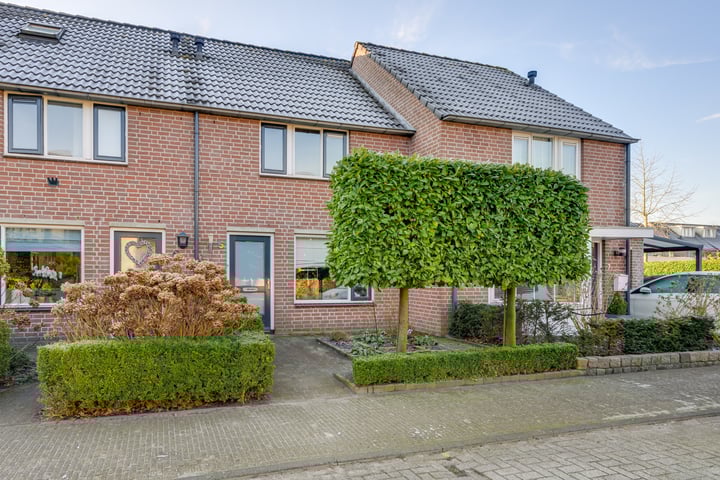 Gouden Regen 5 in Prinsenbeek foto