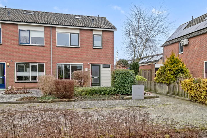 Goudenregen 80 in Heino foto