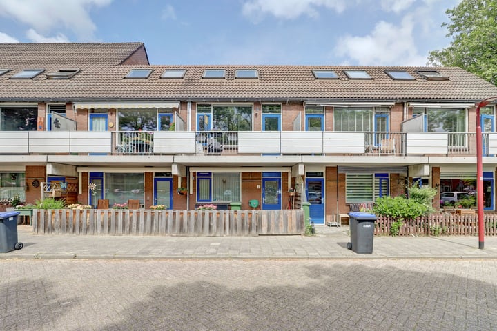 Goudfazant 6 in Nieuwegein