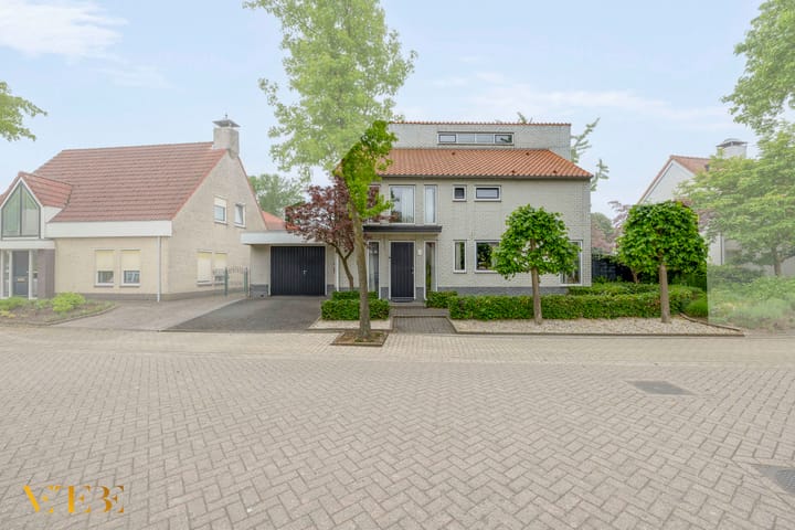 Goudhaver 5 in Steyl foto