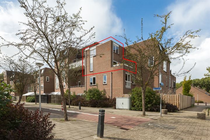 Goudmos 76 in Nieuwerkerk aan den IJssel foto