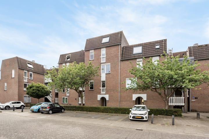 Goudmos 86 in Nieuwerkerk aan den IJssel foto