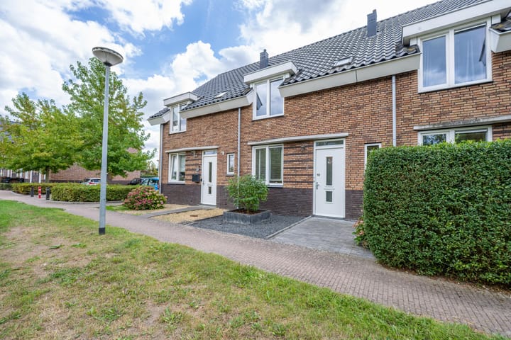 Goudplevier 10 in Maurik foto