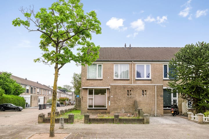 Goudplevier 127 in Oss foto