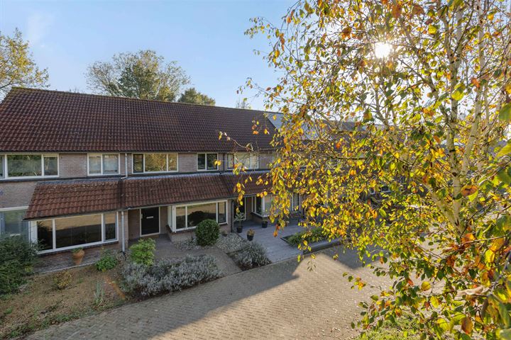 Goudplevier 43 in 's-Hertogenbosch foto