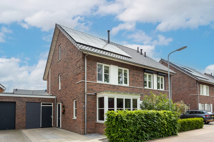 Goudplevier 62 in Maurik foto