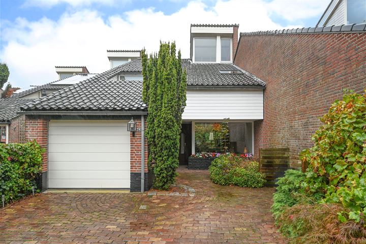 Goudwespmeent 43 in Hilversum foto