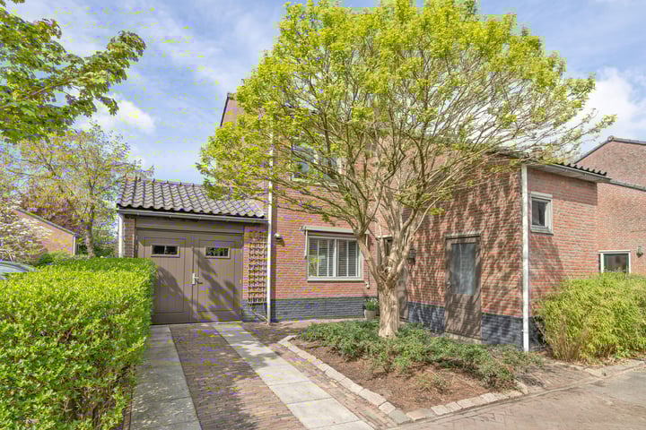 Goudwespmeent 93 in Hilversum