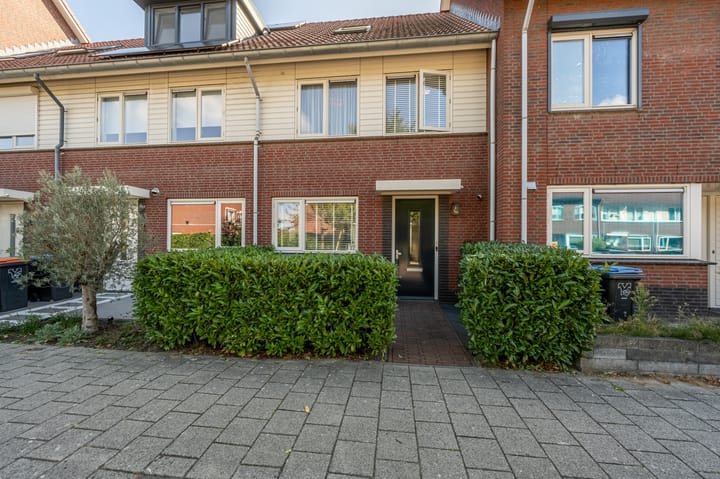 Goudzoeker 22 in Rhoon foto
