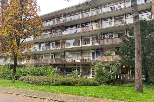 Graaf Adolflaan 37-2 in Zeist foto