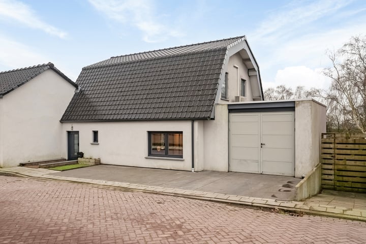 Graafjansdijk B 70 in Westdorpe foto