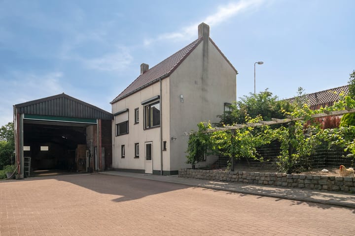 Graafjansdijk B 87 in Westdorpe foto